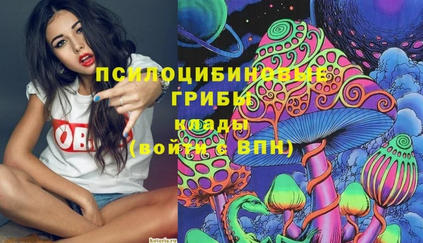 первитин Алексин