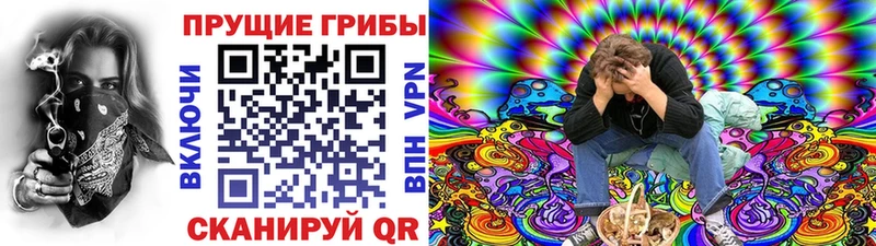 нарко площадка официальный сайт  Тюкалинск  Псилоцибиновые грибы мицелий 